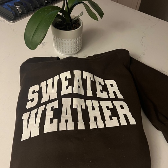 “SWEATER WEATHER” - BRAND NEW! Never Worn - Fun sweatshirt - Picture 4 of 6